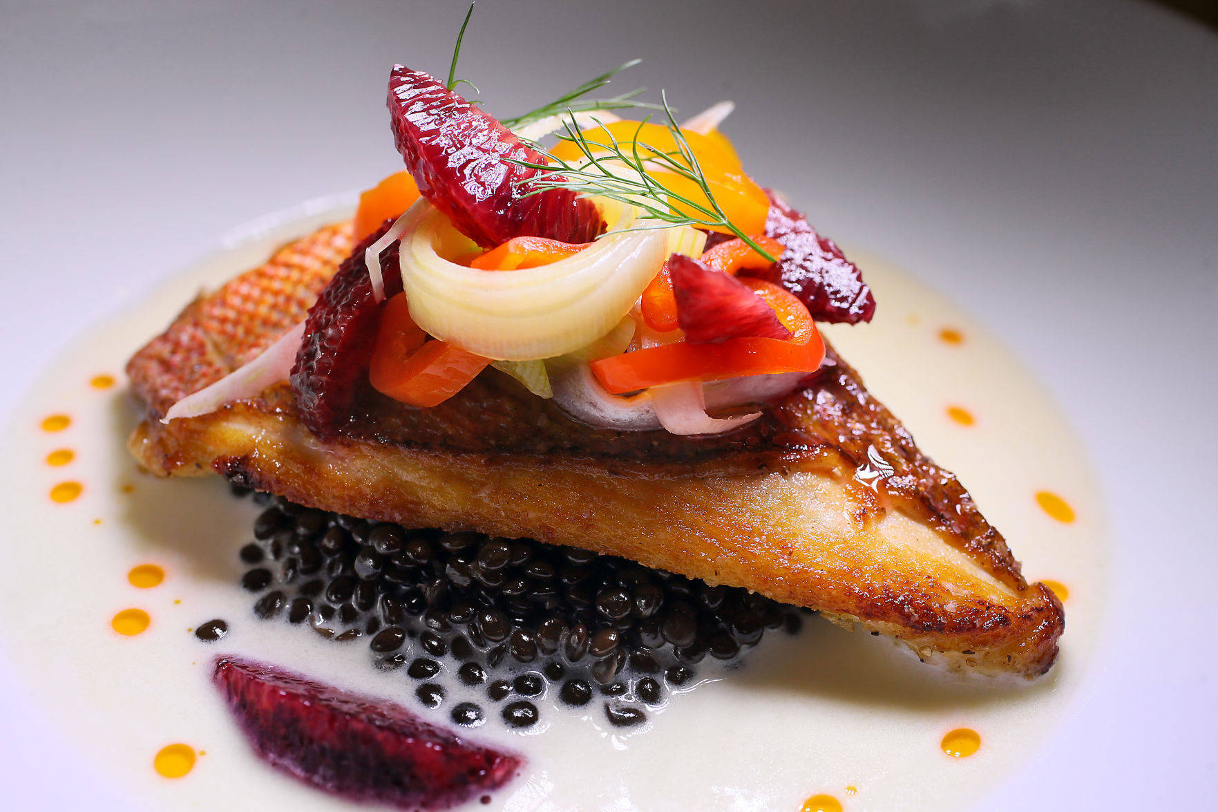 snapper Purlieu.jpg (copy)